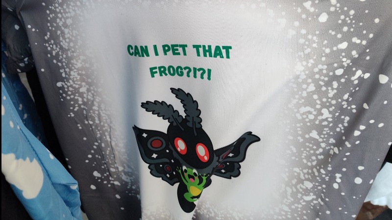 The Flawed Frog