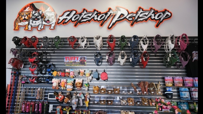 Hotshot Petshop