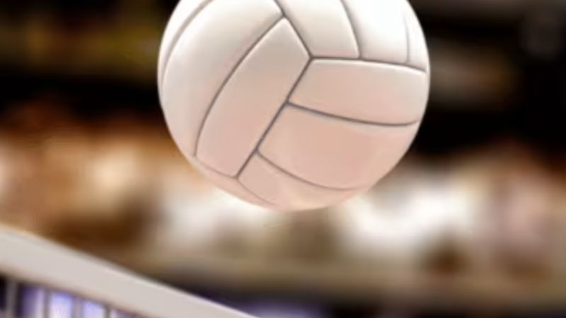 EMS Volleyball