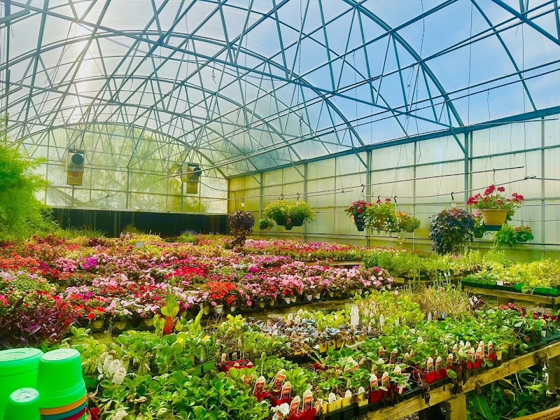 Keathly Nursery
