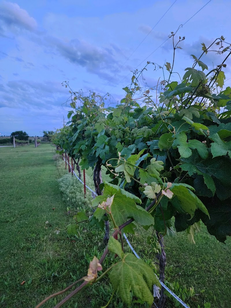 Twisted and Tangled Winery
