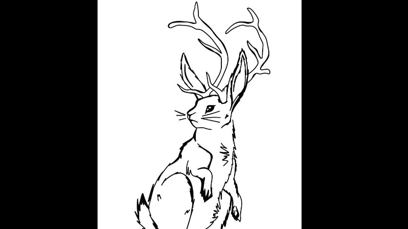 The Wandering Jackalope LLC 