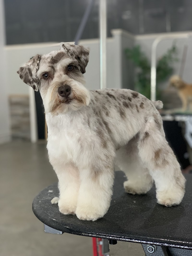 Central Barks