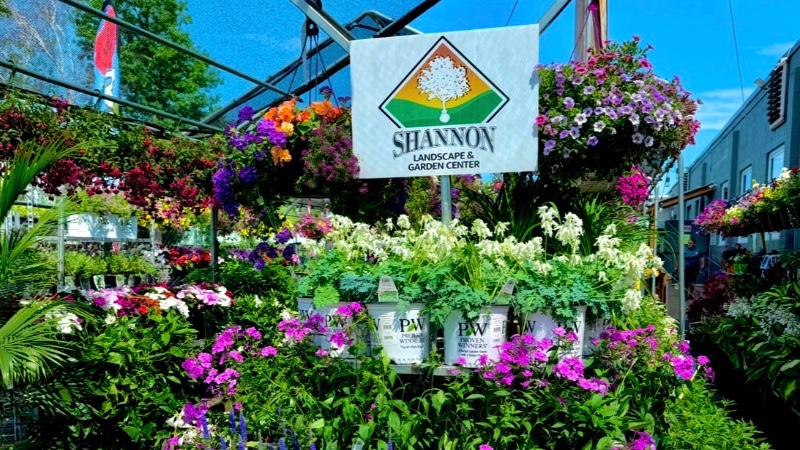 Shannon Garden Center