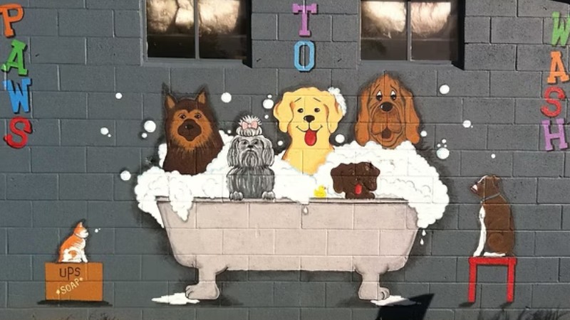 Paws to Wash