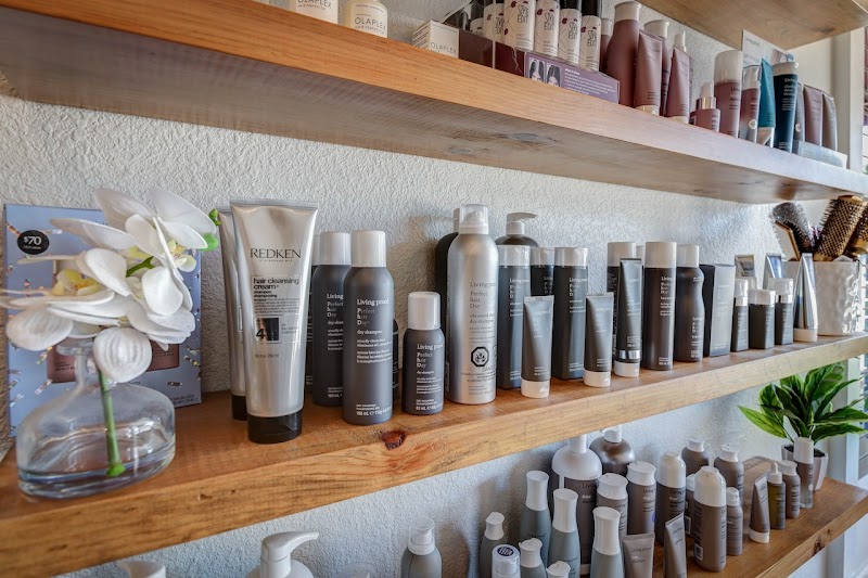 Salon 645