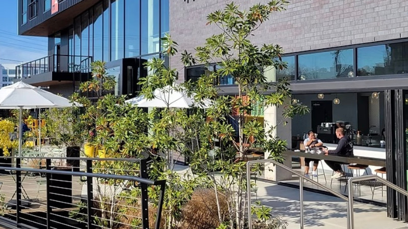 Nectar Cafe