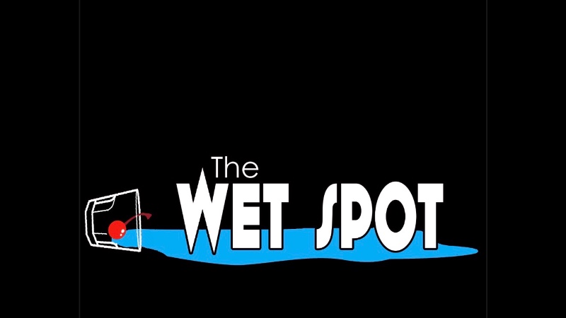 THE WET SPOT