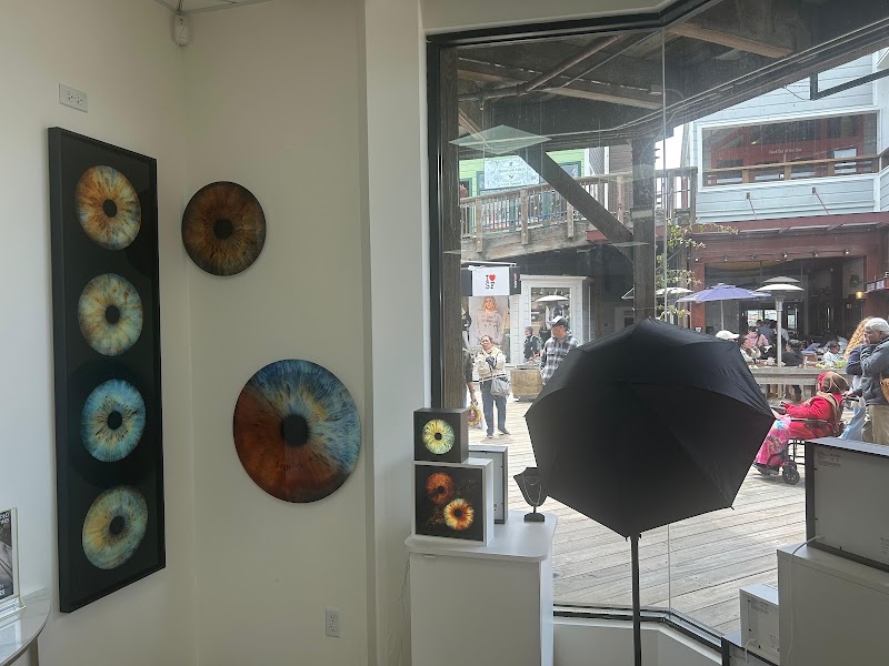 IRIS GALERIE