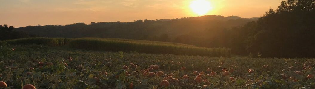 Dittmar Farms & Orchard