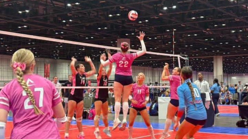 Alpha Performance Volleyball Club