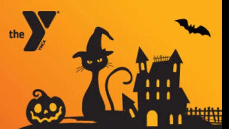 Black Cat Chase
