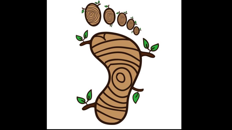 Slippery Elm Reflexology