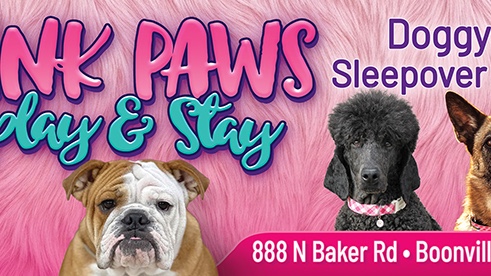 Pink Paws Play and Stay