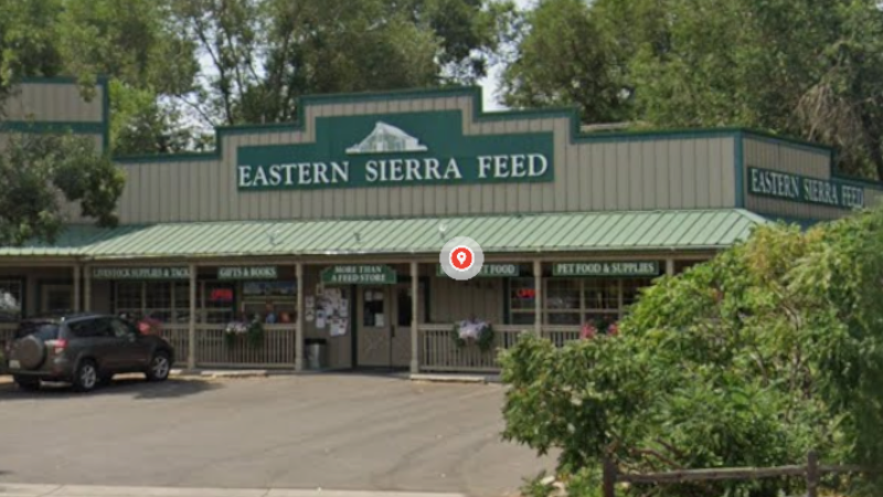 Eastern Sierra Feed
