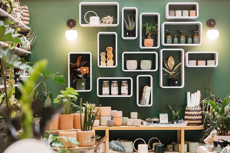 The Plant Supply