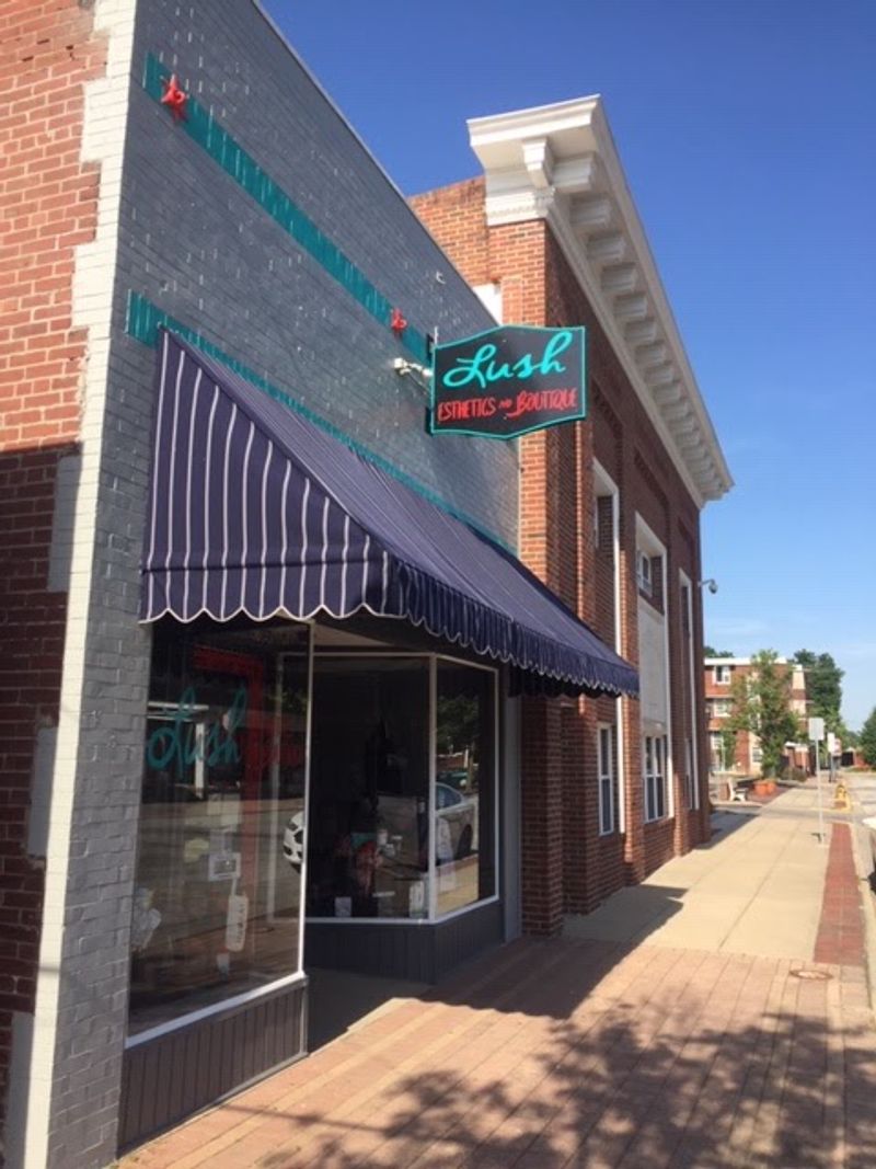 Lush Esthetics & Boutique