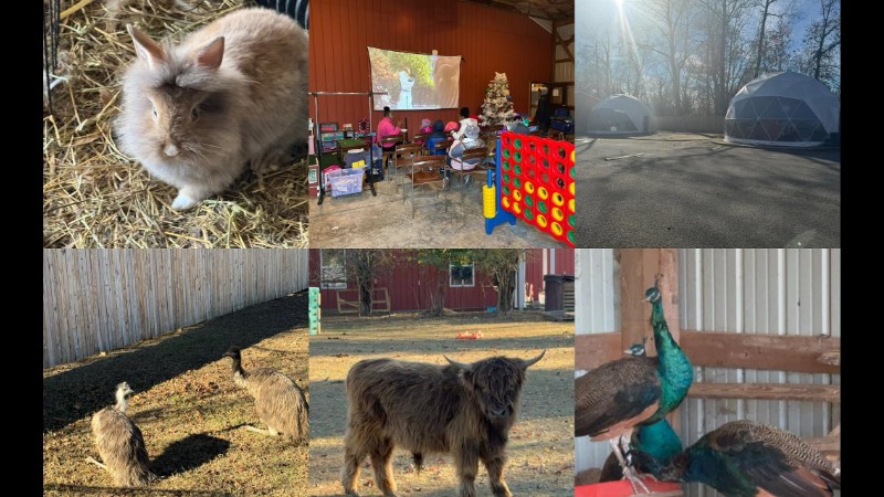 Charity's Hope Family Farm, LLC.
