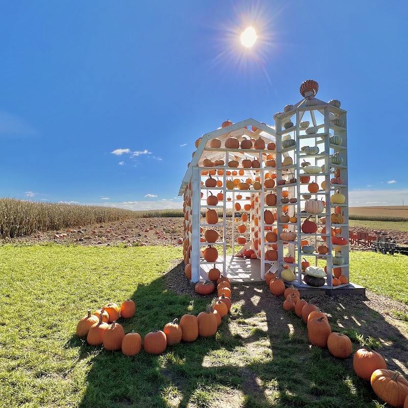 Big Springs Farm Pumpkins & Corn Maze