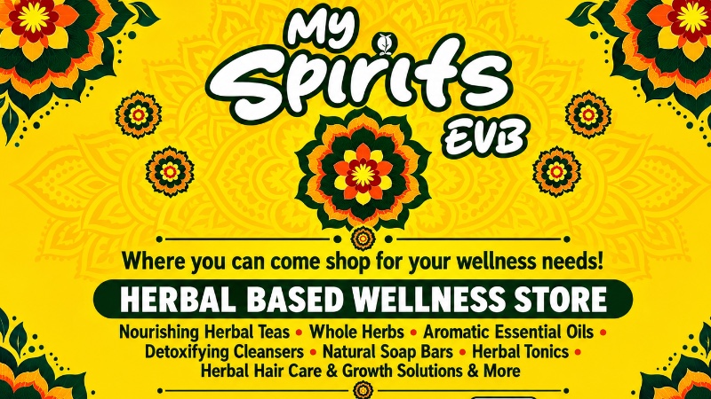 My Spirits EVB Incorporated