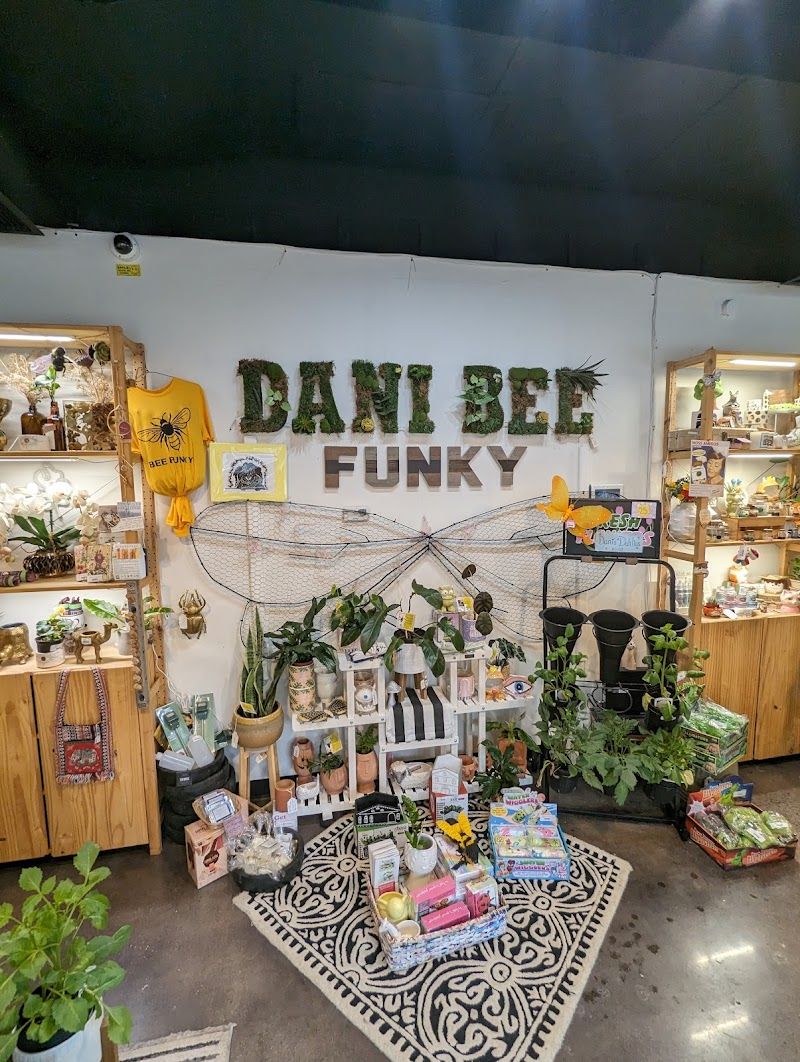 Dani Bee Funky