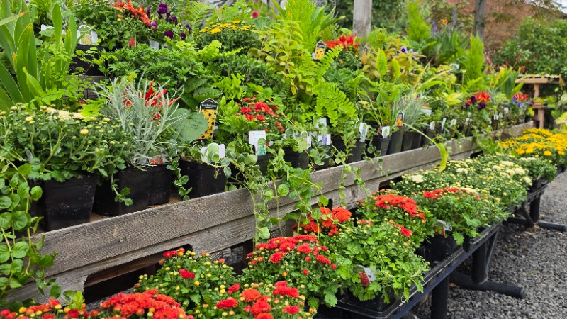 The Real Deahl Home & Garden