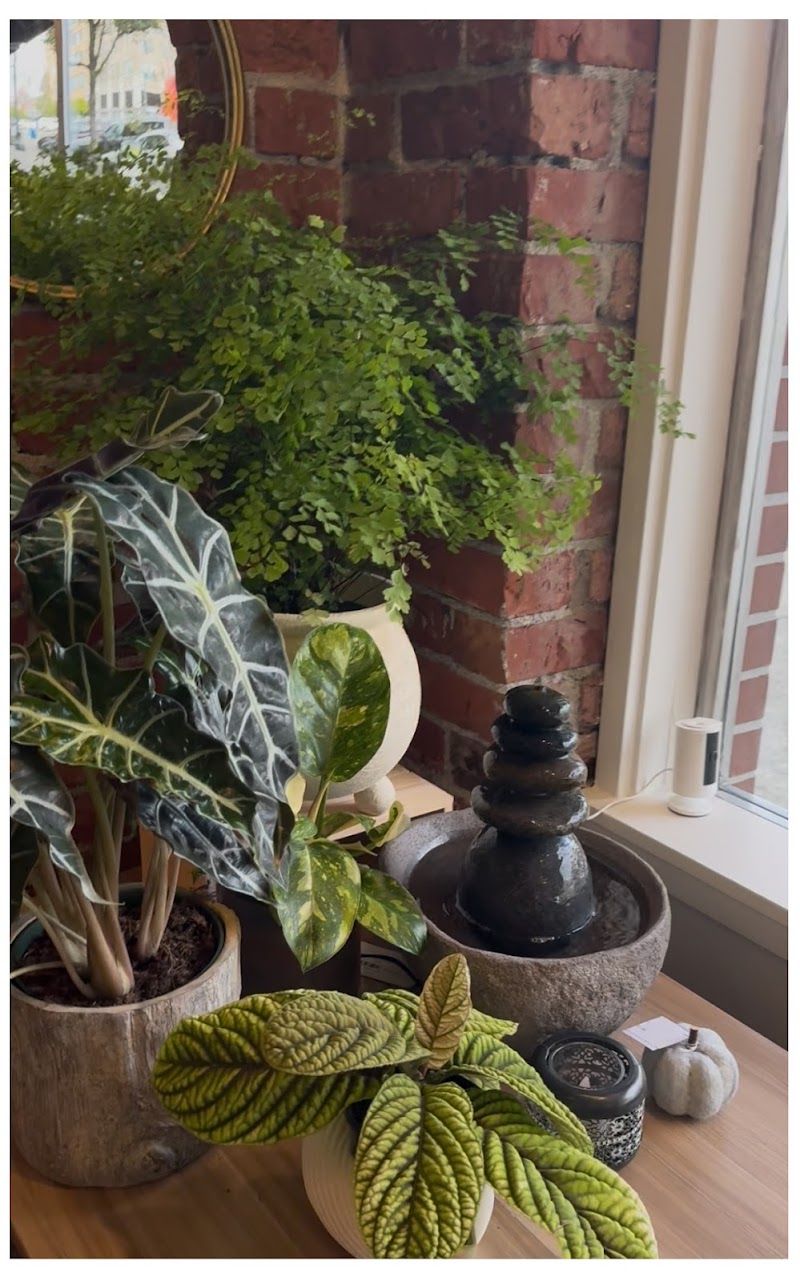Moss+Marigold