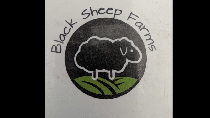 BLACK SHEEP FARMS