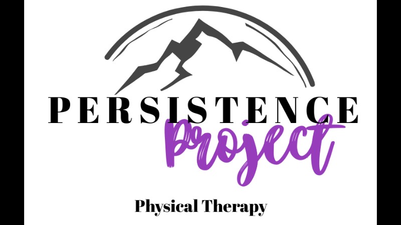 The Persistence Project Physical Therapy
