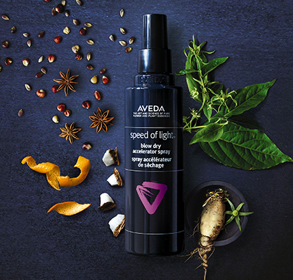 Avalon Salon Spa Coupon