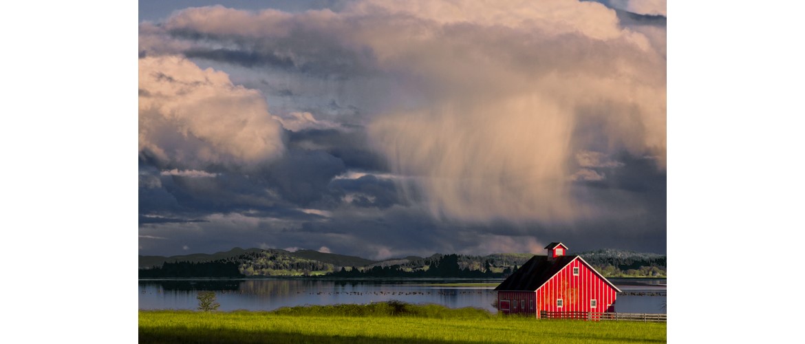 Shop Veneta Business Community