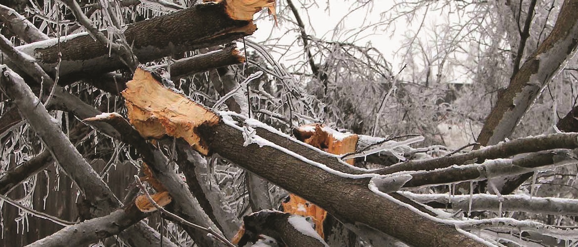 Clackamas County Ice Storm Cleanup Voucher Business Community