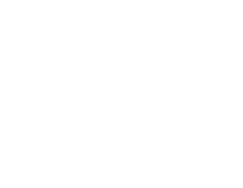 Merry Maids logo