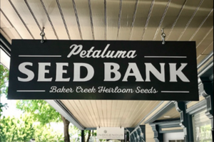 The Seed Bank Coupon