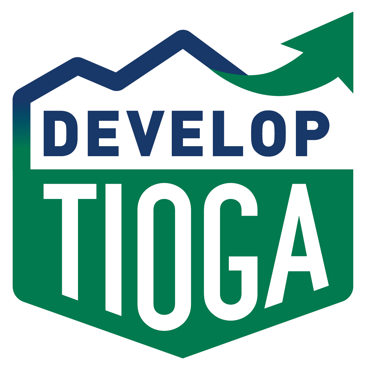Develop Tioga - Tioga County, PA logo
