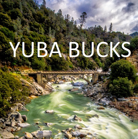 YUBA BUCKS logo