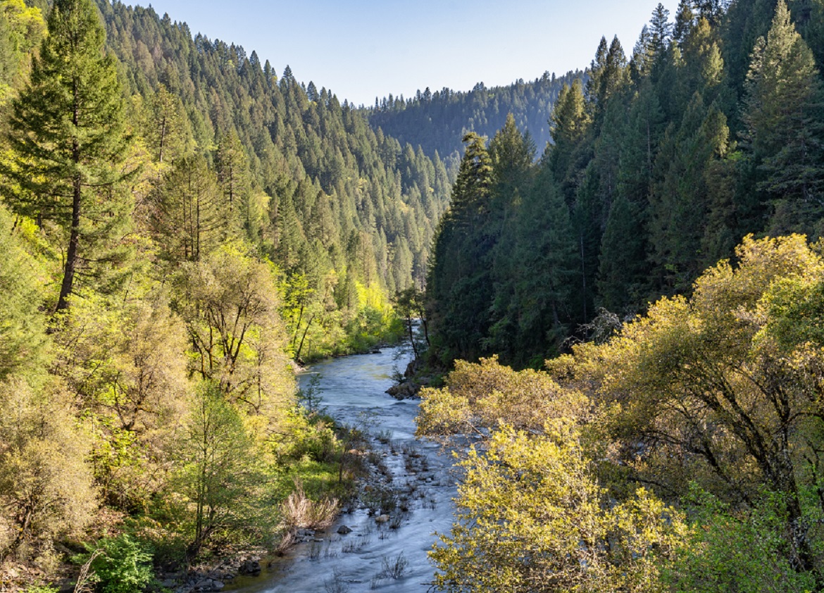 YUBA BUCKS Business Community