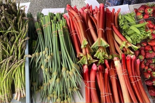 Riverdale Park Farmers Market Dollars