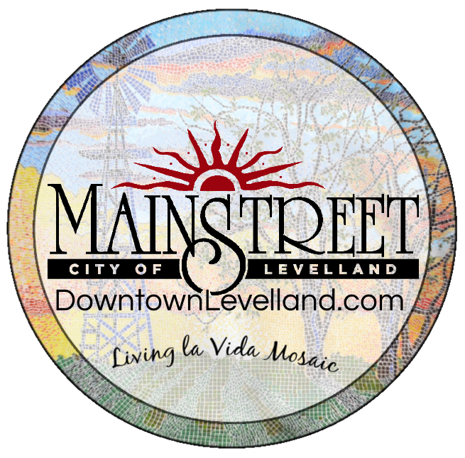 Main Street Downtown Dollars logo