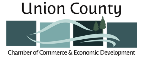 Union County, Illinios Community Card logo