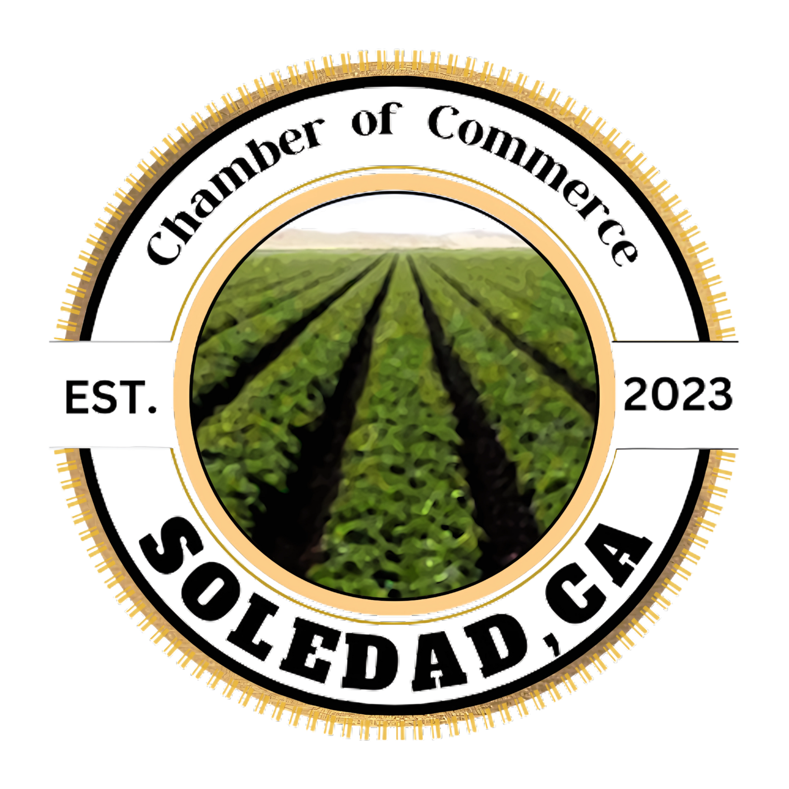Soledad Chamber eGift Card Digital Gift