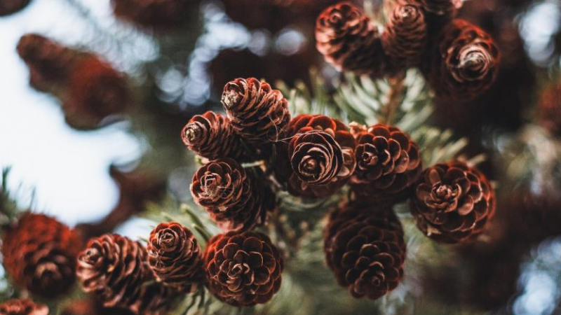 OptiHealth Optometry